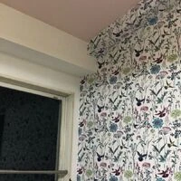 画像4452：【民泊】アクセントクロス