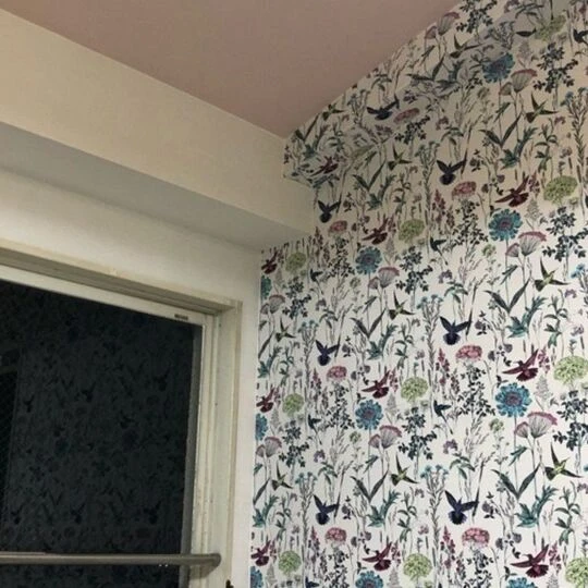 画像4452：マンションのクロス貼り