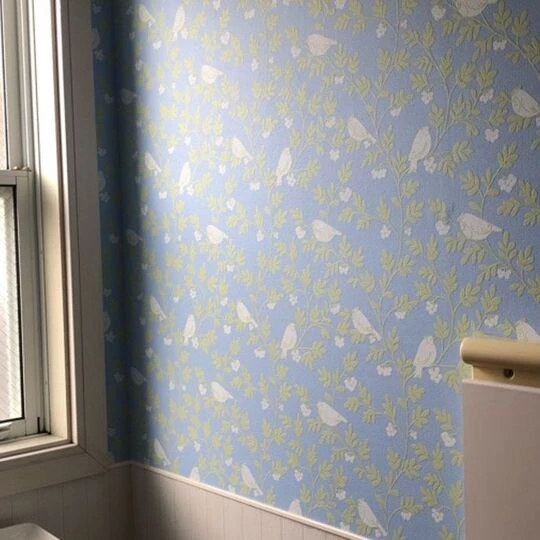 画像4522：トイレのクロス貼り替え