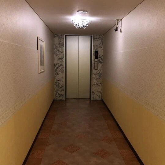 画像4612：ホテルアイリーンドナン　クロス貼り替え