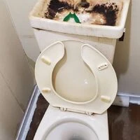 画像4766：【民泊】アクセントクロス